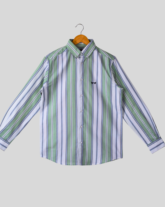 White & Green Oxford Rayas