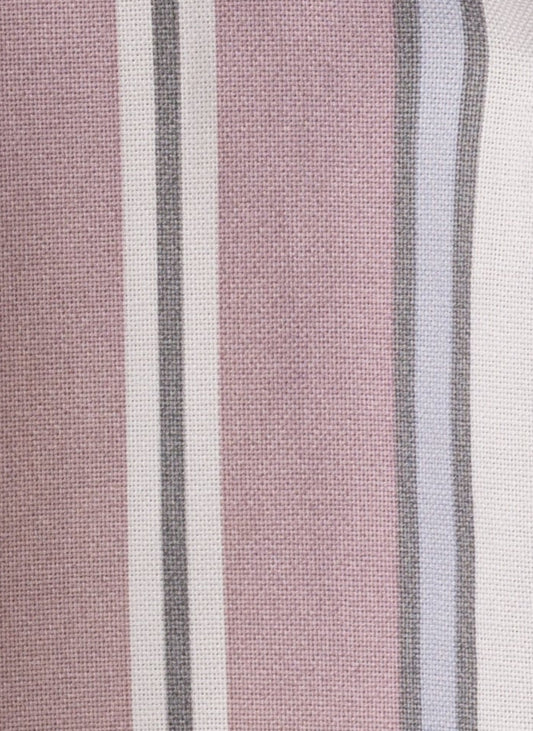 Pink & Blue Oxford Rayas