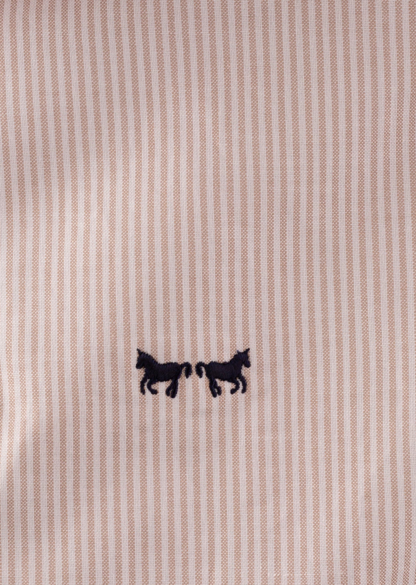 Camisa Oxford Rayas Café Camello