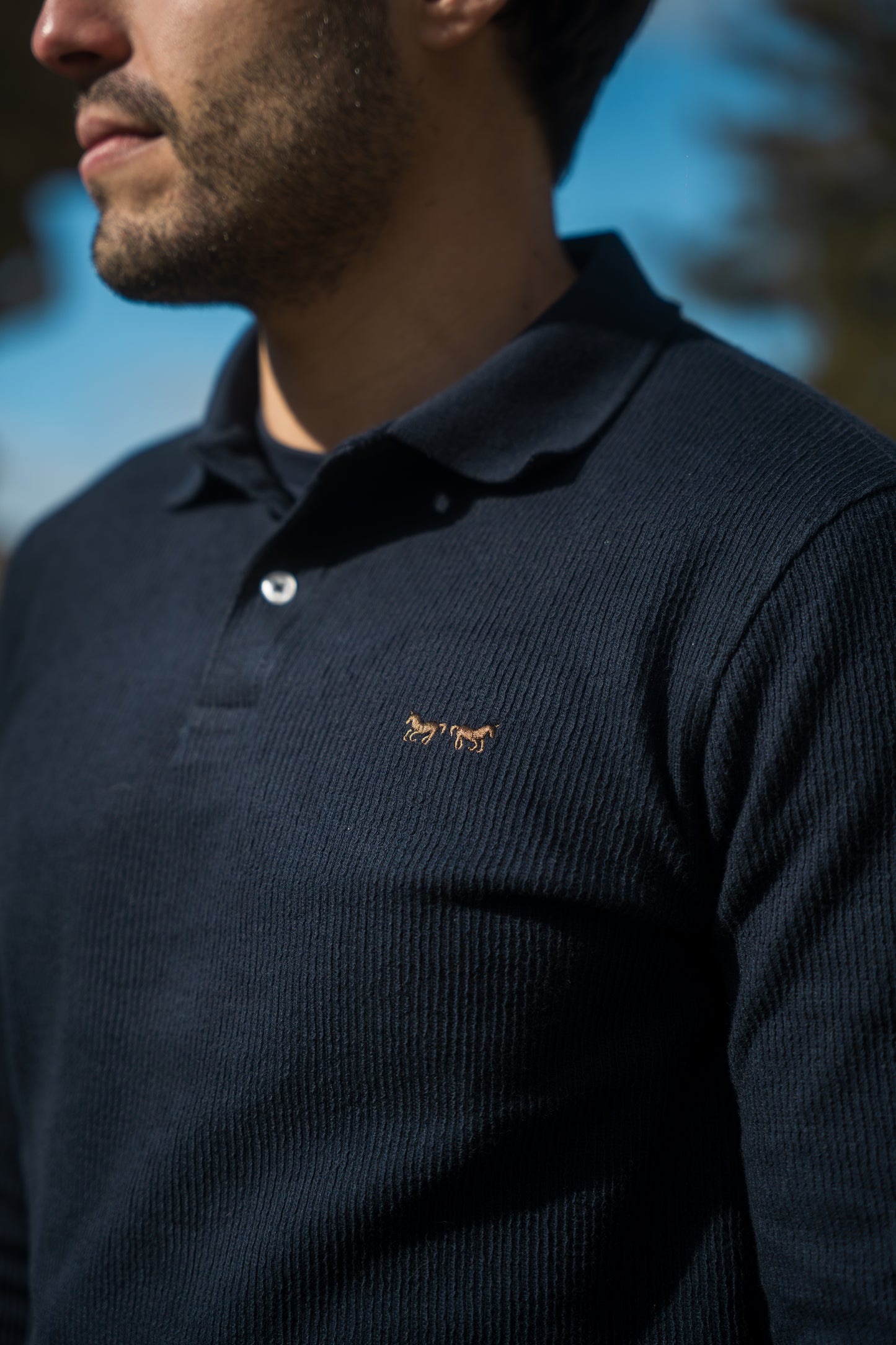 Polo Manga Larga Jacquard Azul